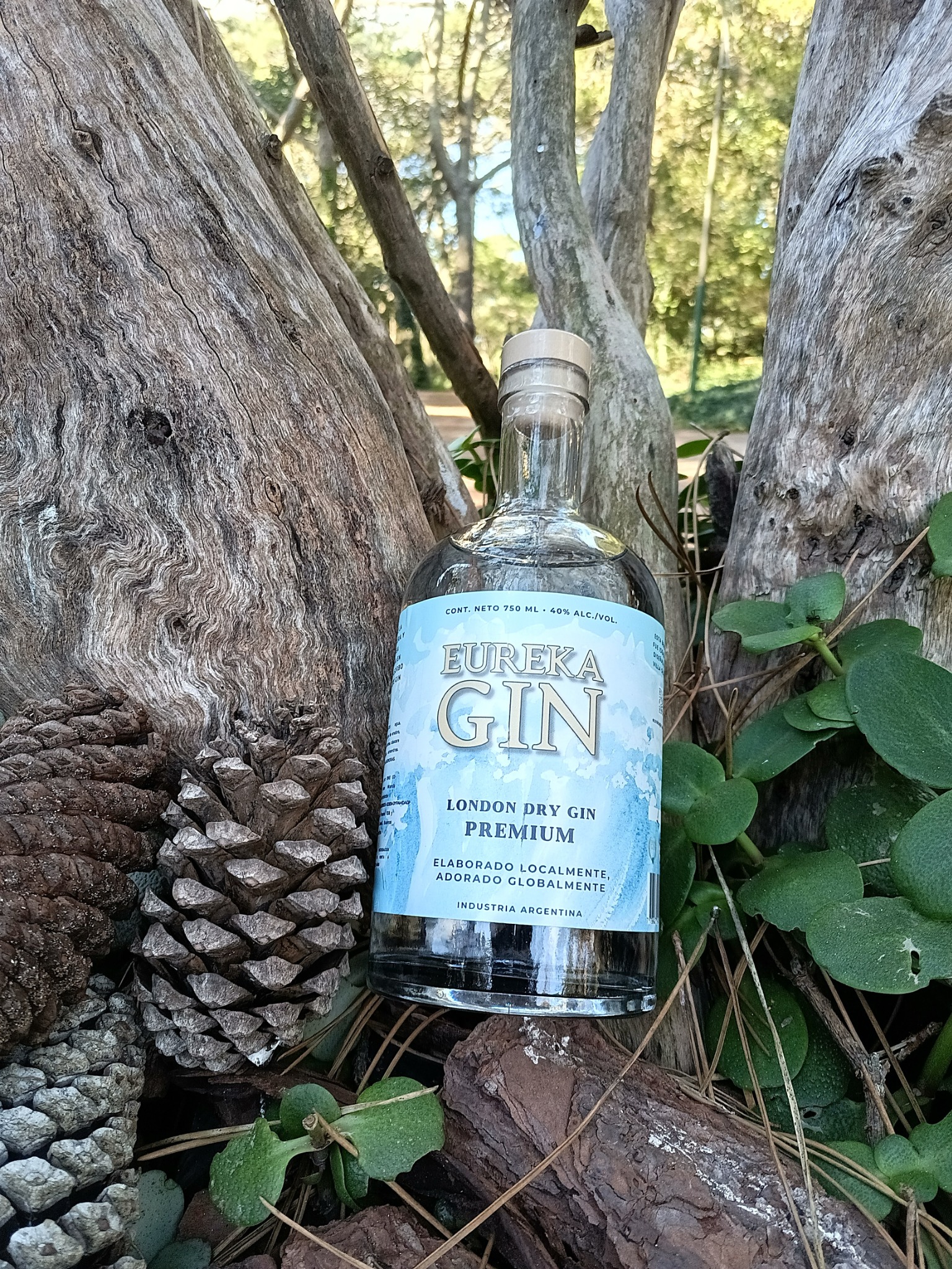 Botella de Eureka Gin en el bosque de Villa Gesell